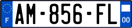 AM-856-FL