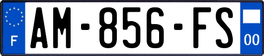 AM-856-FS