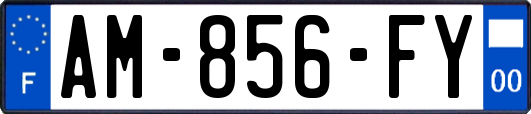 AM-856-FY