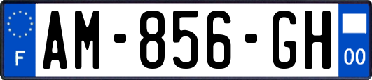 AM-856-GH