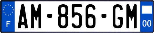 AM-856-GM