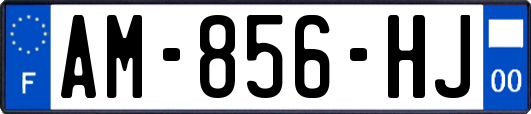 AM-856-HJ