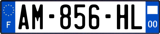 AM-856-HL