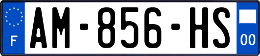 AM-856-HS