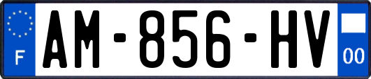 AM-856-HV