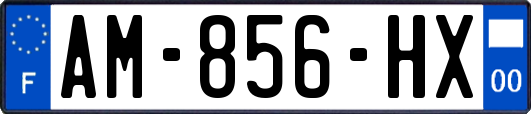 AM-856-HX