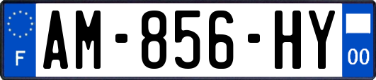 AM-856-HY