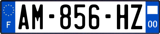 AM-856-HZ