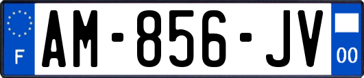 AM-856-JV