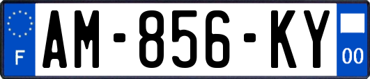 AM-856-KY
