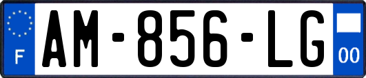 AM-856-LG
