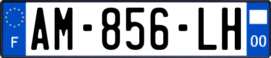 AM-856-LH