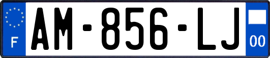 AM-856-LJ