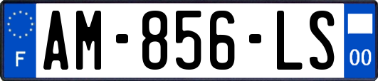 AM-856-LS
