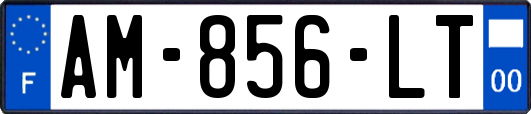 AM-856-LT