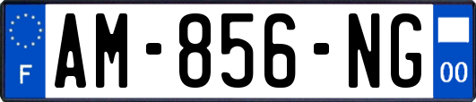 AM-856-NG