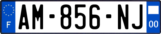 AM-856-NJ