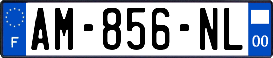 AM-856-NL