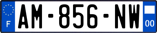 AM-856-NW