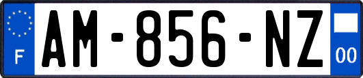 AM-856-NZ