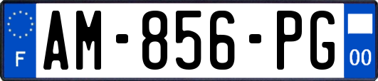 AM-856-PG