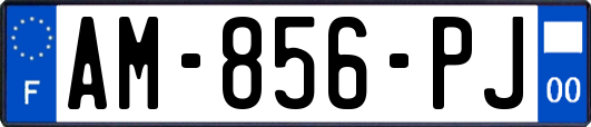 AM-856-PJ