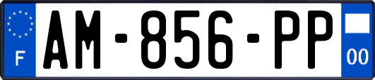 AM-856-PP