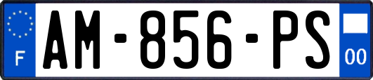 AM-856-PS