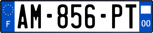 AM-856-PT