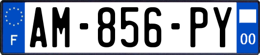AM-856-PY