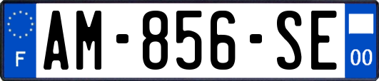 AM-856-SE