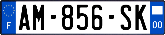 AM-856-SK