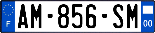 AM-856-SM