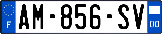 AM-856-SV
