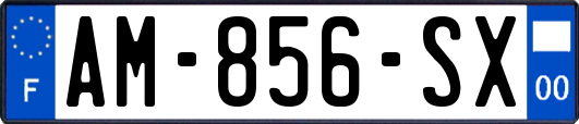 AM-856-SX