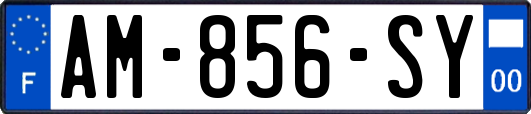 AM-856-SY