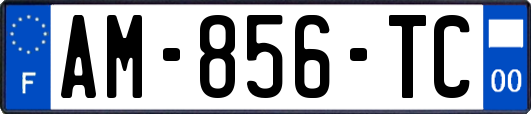 AM-856-TC