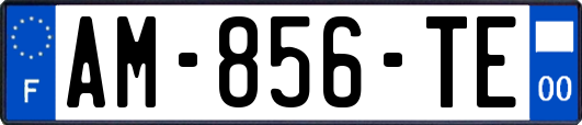 AM-856-TE