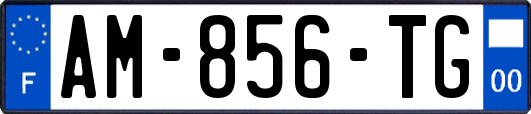 AM-856-TG