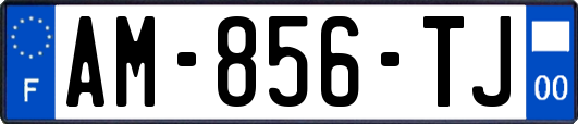AM-856-TJ