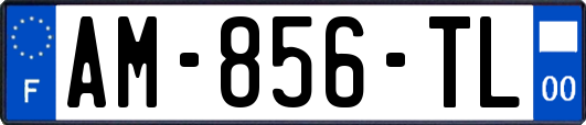 AM-856-TL