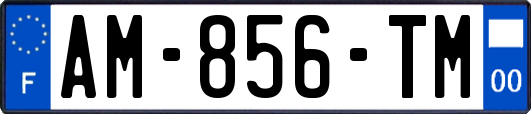 AM-856-TM