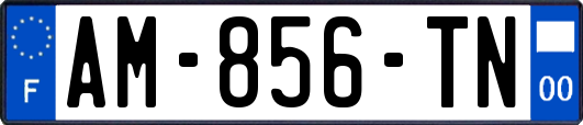 AM-856-TN