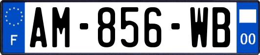 AM-856-WB