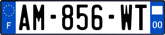 AM-856-WT