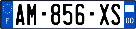 AM-856-XS
