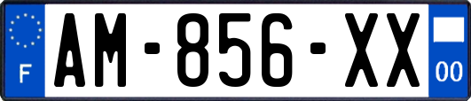 AM-856-XX
