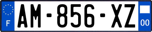 AM-856-XZ