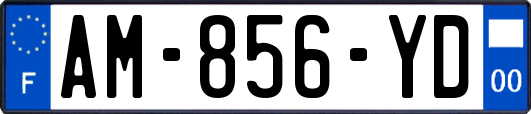 AM-856-YD