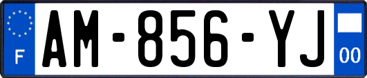 AM-856-YJ